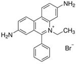 46067-250ML-F | ETHIDIUM BROMIDE SOLUTION FOR FLUOR ESCENCE CA. 1