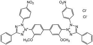 484235-250MG | P NITROBLUE TETRAZOLIUM CHLORIDE CAS 298 83 9 CALB