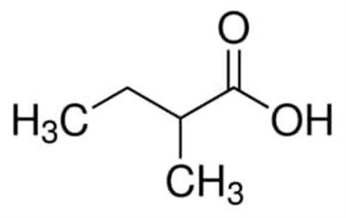 49659-1ML | 2 METHYLBUTYRIC ACID