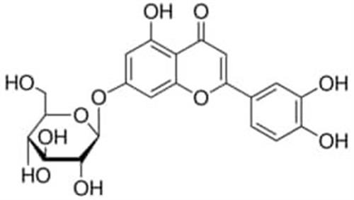 49968-10MG | LUTEOLIN 7 GLUCOSIDE