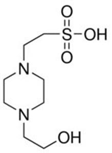 51558-50ML | HEPES BUFFERED SALINE BIOULTRA FOR MOLECULAR BIOLO