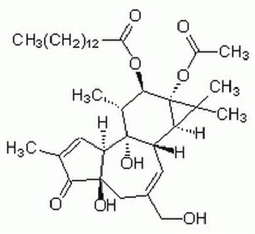 524400-1MG | PHORBOL 12 MYRISTATE 13 ACETATE CAS 16561 29 8 CAL