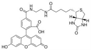 53608-1MG-F | BIOTIN 5 FLUORESCEIN CONJUGATE BIOREAGENT FOR FLUO