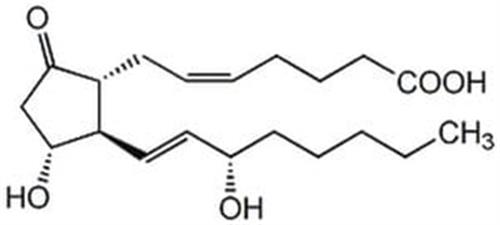 538904-1MG | PROSTAGLANDIN E2 1PC X 1MG