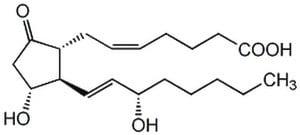 538904-1MG | PROSTAGLANDIN E2 1PC X 1MG