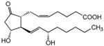 538904-1MG | PROSTAGLANDIN E2 1PC X 1MG