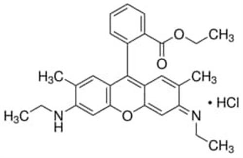 56226-25MG | RHODAMINE 6G