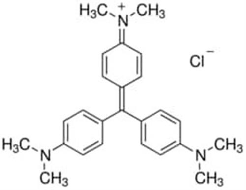 61135-100G | CRYSTAL VIOLET INDICATOR FOR MICROSCOPY