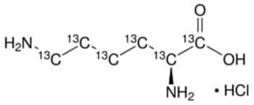 643459-250MG | L LYSINE 13C6 HYDROCHLORIDE 99 ATOM 13C 95 CP