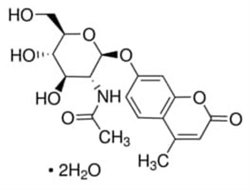 69585-250MG | 4 METHYLUMBELLIFERYL N ACETYL B D GLUCOSAMINIDE FO