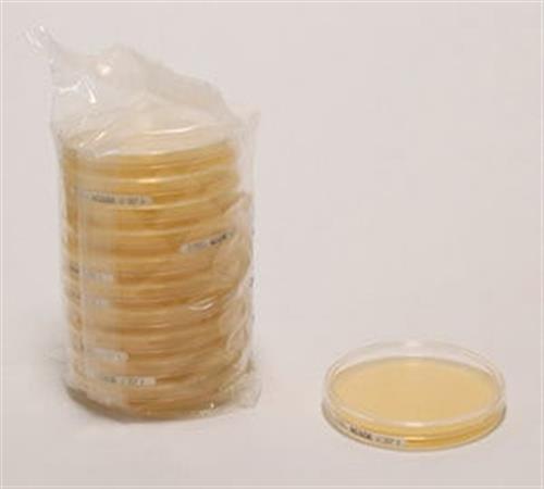 69964-500G | MRS AGAR FOR MICROBIOLOGY
