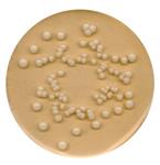 70139-500G | POTATO GLUCOSE AGAR FOR MICROBIOLOGY