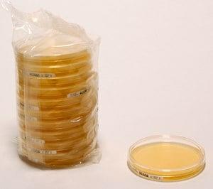 70145-2.5KG | MALT EXTRACT AGAR FOR MICROBIOLOGY