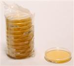 70145-2.5KG | MALT EXTRACT AGAR FOR MICROBIOLOGY