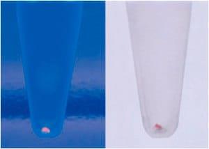 70748-3 | PELLET PAINT R NF CO PRECIPIT 1PC X 1SET