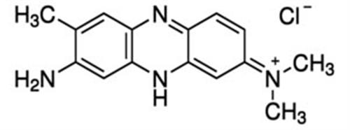 72210-25G | NEUTRAL RED FOR MICROSCOPY