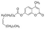 75164-25MG | 4 METHYLUMBELLIFERYL OLEATE FOR FLUORESCENCE 95 HP