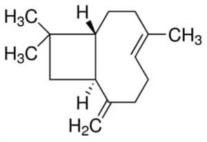 75541-1ML | TRANS CARYOPHYLLENE