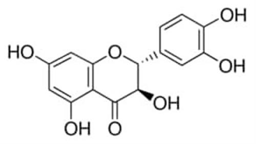78666-100MG-F | TAXIFOLIN