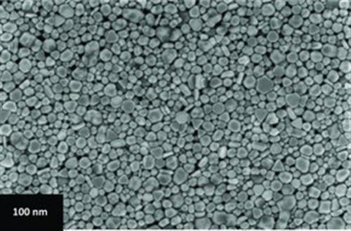 796042-5G | SILVER NANOPARTICLE INK 50 WT DISPERSION IN TRIPRO