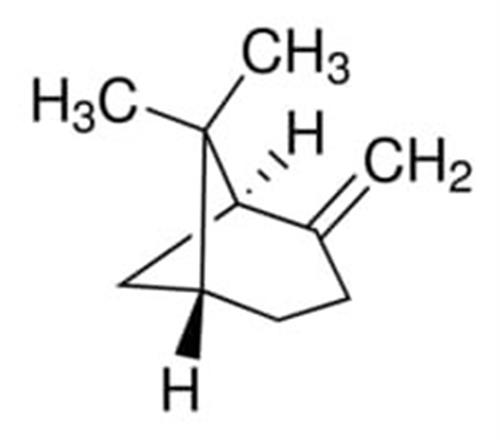 80607-5ML | BETA PINENE TERPENE STANDARD
