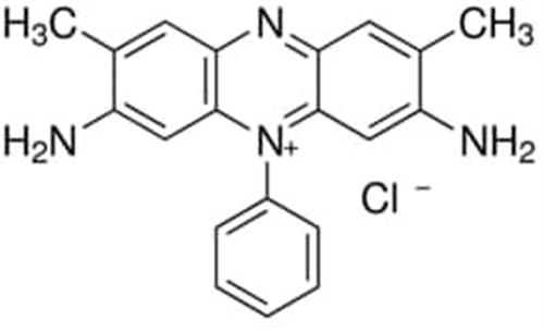 84120-25G | SAFRANIN O FOR MICROSCOPY