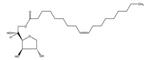 85548-250ML | SPAN TM 80 1000 2000MPA.S 20 C