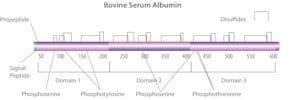 A0281-10G | BOVINE SERUM ALBUMIN LYOPHILIZED POWDER ESSENTIALL