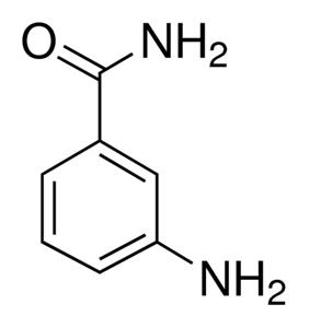 A0788-250MG | 3 AMINOBENZAMIDE
