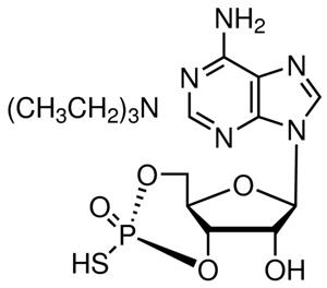 A165-5MG | RP ADENOSINE 3 5 CYCLIC MONOPHOSPHOROTHIOATE TRIET