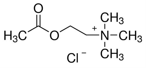 A2661-25G | ACETYLCHOLINE CHLORIDE CELL CULTURE TESTED