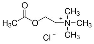 A2661-25G | ACETYLCHOLINE CHLORIDE CELL CULTURE TESTED