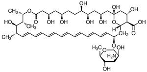 A2942-50ML | AMPHOTERICIN B SOLUTION 250 G ML IN DEIONIZED WATE