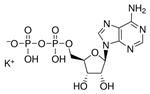 A5285-1G | ADENOSINE 5 DIPHOSPHATE MONOPOTASSIUM SALT DIHYDRA