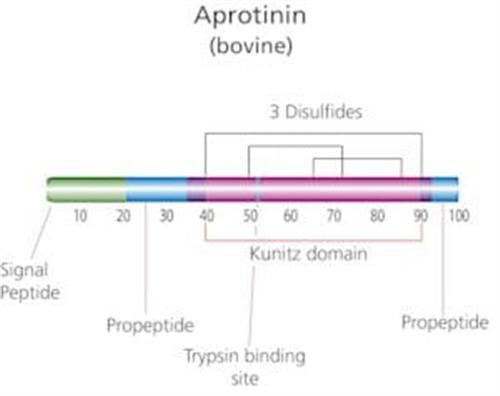 A6279-10ML | APROTININ FROM BOVINE LUNG