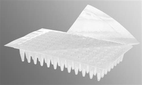 AXYPCRSP | CORNING R AXGEN R AXYSEAL SEALING FILM FOR TISSUE