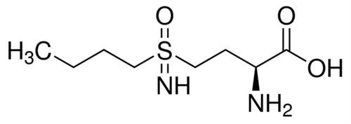 B2515-1G | L BUTHIONINE S R SULFOXIMINE