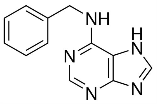 B3408-1G | 6 BENZYLAMINOPURINE PLANT CELL CULTURE TESTED