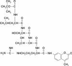 B4636-5MG | N T BOC LEU SER THR ARG 7 AMIDO 4 METHYLCOUMARIN
