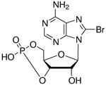 B5386-5MG | 8 BROMOADENOSINE 3 5 CYCLIC MONOPHOSPHATE FREE ACI