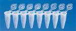 BR781316-120EA | BRAND TM PCR TUBE STRIPS OF 8 ATTACHED TRANSPARENT