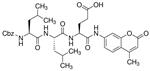 C0483-5MG | CBZ LEU LEU GLU 7 AMIDO 4 METHYCOUMARIN