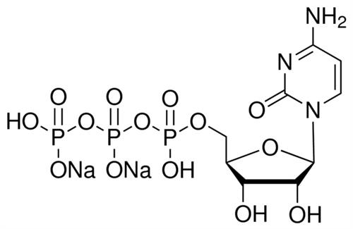 C1506-250MG | CYTIDINE 5 TRIPHOSPHATE DISODIUM SALT
