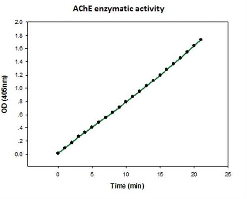 C1682-.1MG | ACETYLCHOLINESTERASE HUMAN RECOMBINANT EXPRESSED I