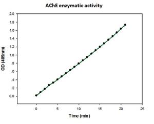 C1682-.1MG | ACETYLCHOLINESTERASE HUMAN RECOMBINANT EXPRESSED I