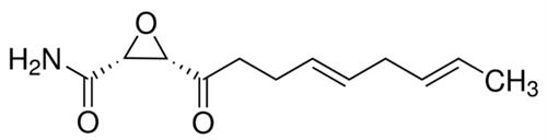 C2389-5MG | CERULENIN