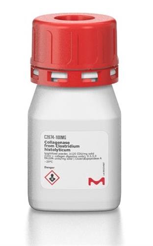 C2674-1G | COLLAGENASE CRUDE TYPE IA CELL CULTURE TESTED