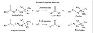 C2888-5KU | ACETYLCHLOINESTERASE TYPE V S FROM ELECTRIC EEL