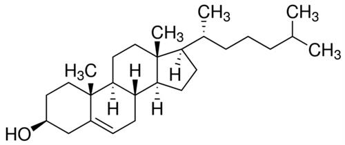 C3045-100G | CHOLESTEROL POWDER BIOREAGENT SUITABLE FOR CELL CU