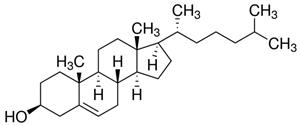 C3045-100G | CHOLESTEROL POWDER BIOREAGENT SUITABLE FOR CELL CU